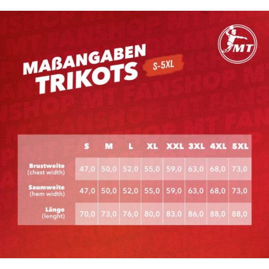 Auswärtstrikot 25/26