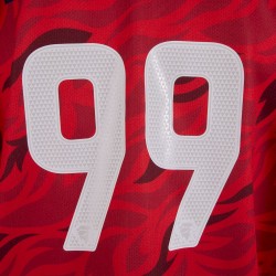 HEIMTRIKOT TORWART 2025/26 ERWACHSENE