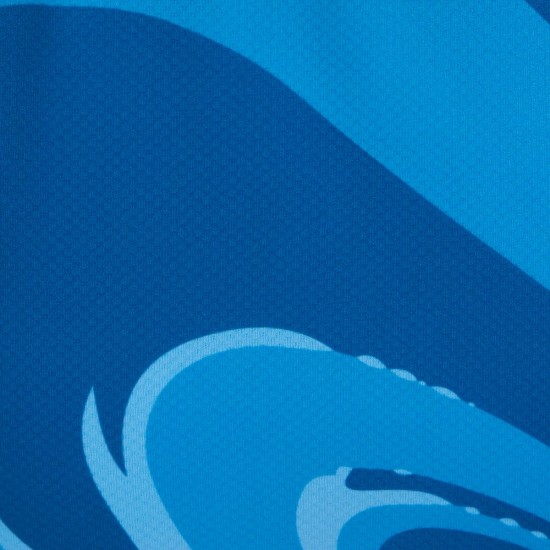 AUSWÄRTSTRIKOT TORWART 2025/26 ERWACHSENE AUSWÄRTSTRIKOT TORWART 2025/26 ERWACHSENE