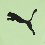 PUMA FÜCHSE BERLIN SHORT AUSWÄRTS 2024/25 PUMA FÜCHSE BERLIN SHORT AUSWÄRTS 2024/25