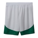 PUMA FÜCHSE BERLIN SHORT 2025/2026