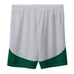 PUMA FÜCHSE BERLIN SHORT 2025/2026