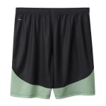PUMA FÜCHSE BERLIN SHORT 2025/2026