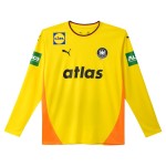 PUMA DHB MÄNNER-TEAM TORWARTTRIKOT